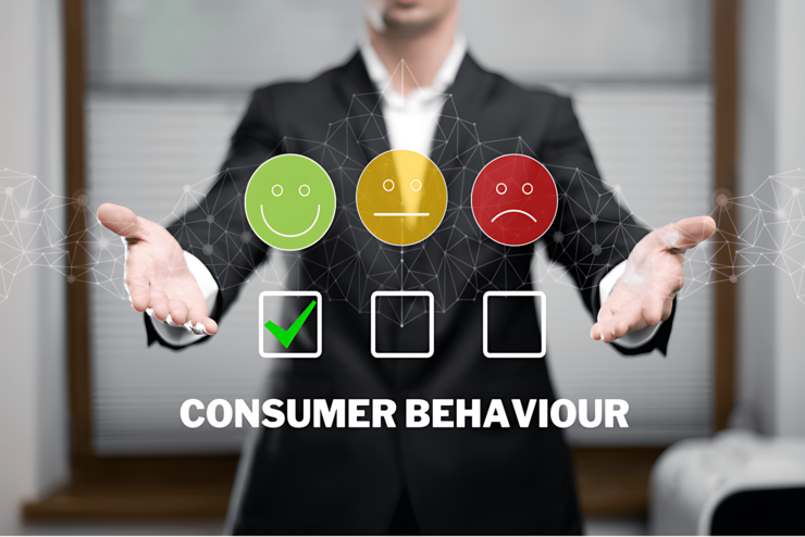 B2C Market Research Services by 1Lotus Research